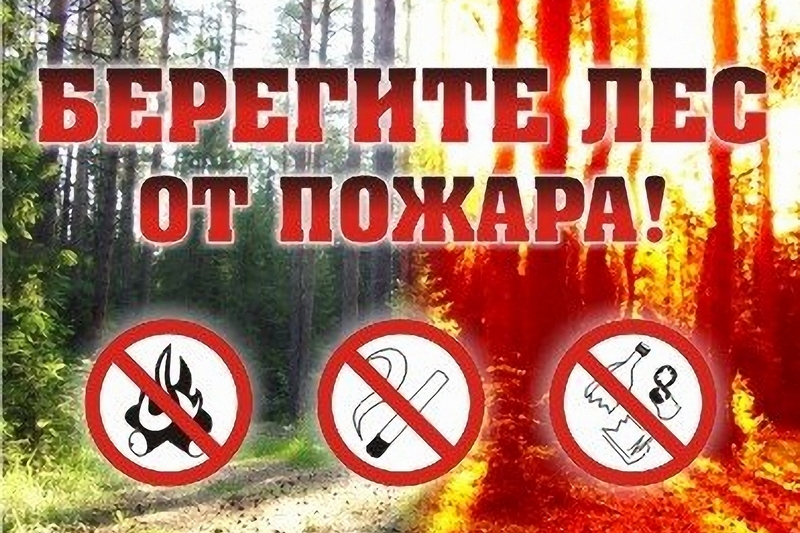 Знаки пожарной безопасности в лесу картинки